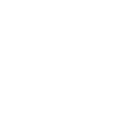 White logo